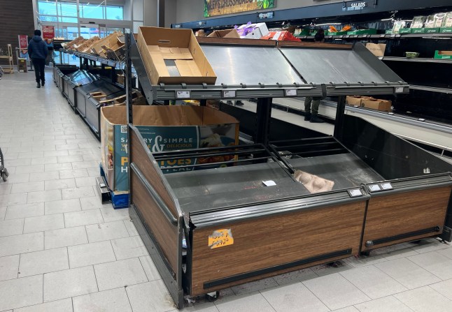 Mandatory Credit: Photo by Gent Shkullaku/ZUMA Press Wire/Shutterstock (16432759c) Near empty shelves are seen as residents stock up on supplies ahead of a cold front expected in the area in Washington, DC, on January 24, 2026. A massive winter storm was set to drop a mix of freezing rain and heavy snow on some 160 million Americans starting January 23, threatening to bring dangerously icy conditions. Multiple US states declared states of emergency as meteorologists said the storm would soon begin marching across much of the continental US, covering a wide swath of the country's middle including the Rockies and Plains. Empty Shelves Ahead Of Expected Heavy Snowfall And Freezing Temperatures In Washington, District Of Columbia, USA, Washington DC, Virginia. - 24 Jan 2026