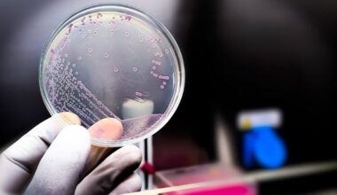 New virus with genetic code written by AI 'is first step towards lab-grown life' | News Tech