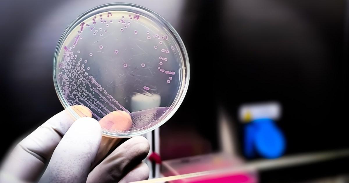 New virus with genetic code written by AI 'is first step towards lab-grown life' | News Tech