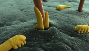 Why dry eyes and skin problems might have an overlooked (and revolting) cause