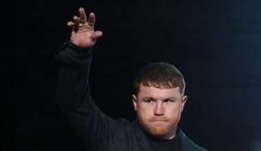 The departure of Canelo Alvarez can be shot in the arm for super middleweight division