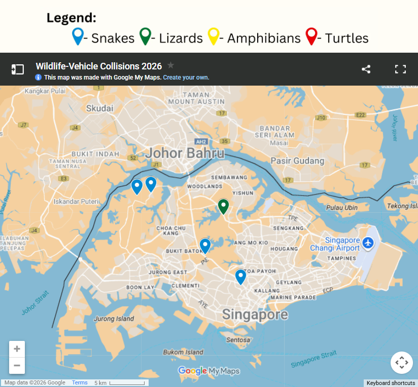 roadkill deaths singapore 2026