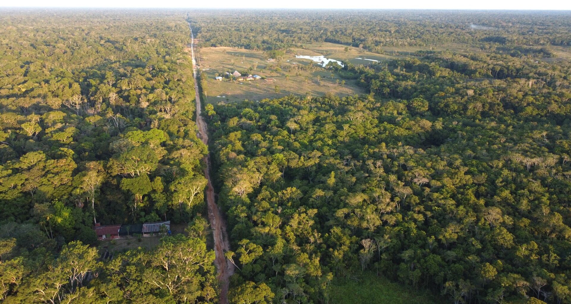 Small clearing in tropical forest