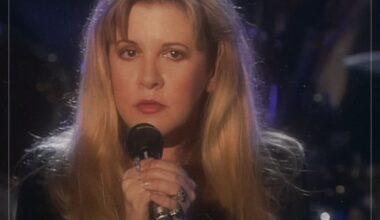 The only singer Stevie Nicks called the perfect storm