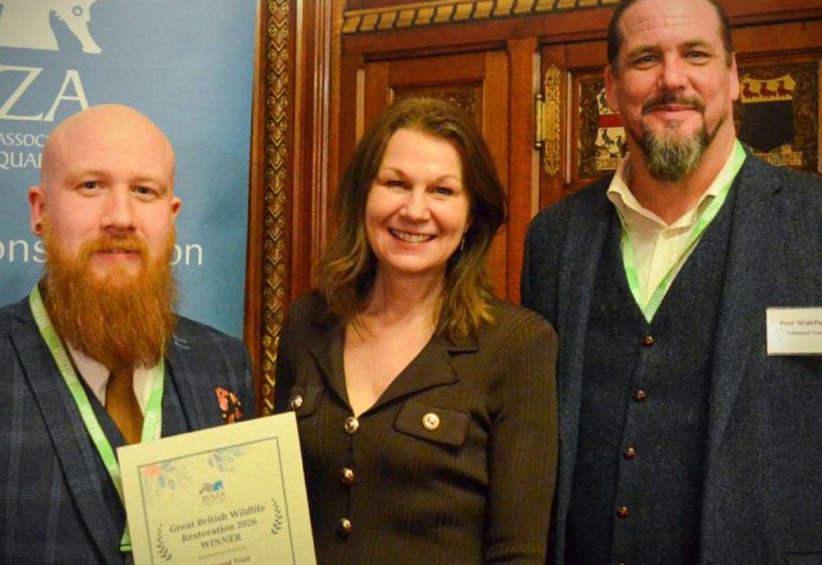 Wildwood Trust wins Great British Restoration competition with water voles project