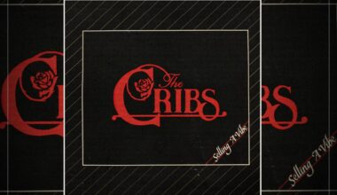 The Cribs - 'Selling A Vibe' album review