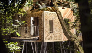 Would you take on three luxury treehouses in the Dorset wild?