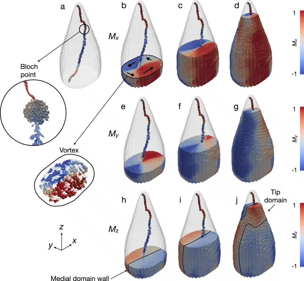 Three Dimensional Magnetic Vector Mapping Of A Giant Spearhead Shaped Magnetofossil