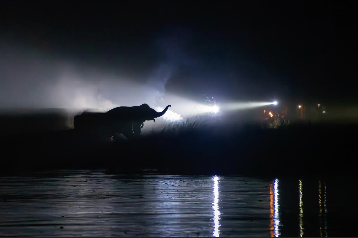 A powerful silhouette of an elephant is illuminated by bright torchlight in a dark, misty night setting, with the reflection visible on a body of water in the foreground.