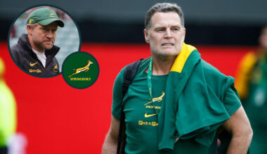 Erasmus uses 'classic example' of Nienaber to prove Brown point