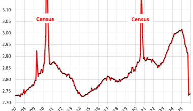 Job Growth in the Private-Sector, Massive Job Losses at Federal & State Governments in H2 2025