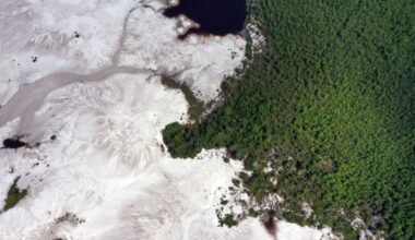 UK Intelligence Services Just Made the Case for Criminalizing Ecocide