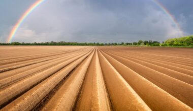 Why agtech start-ups failed last year – and a playbook for 2026