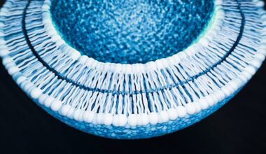 Sibelius and LipoActive launch heat-free liposomal platform