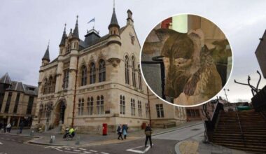 Highland Council wolf sculpture outside Inverness Town House damaged by gale blowing over Christmas tree