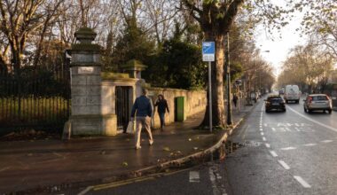 The Dublin half hectare that became a self-sustaining sanctuary for nature – The Irish Times