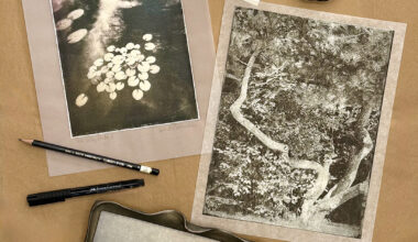 Wendi_Schneider_1577_sized