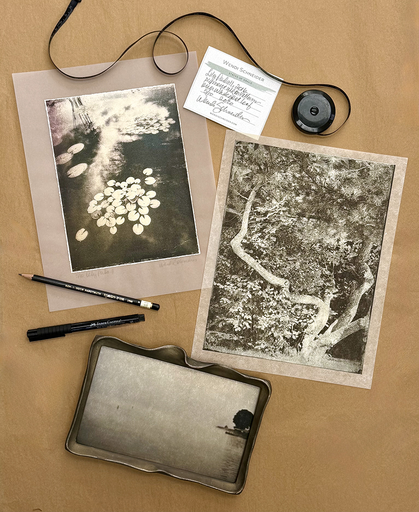 Wendi_Schneider_1577_sized