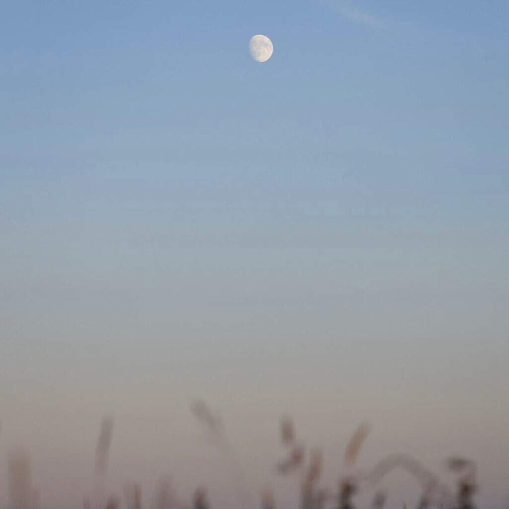 Under the Same Moon – Slugger O'Toole