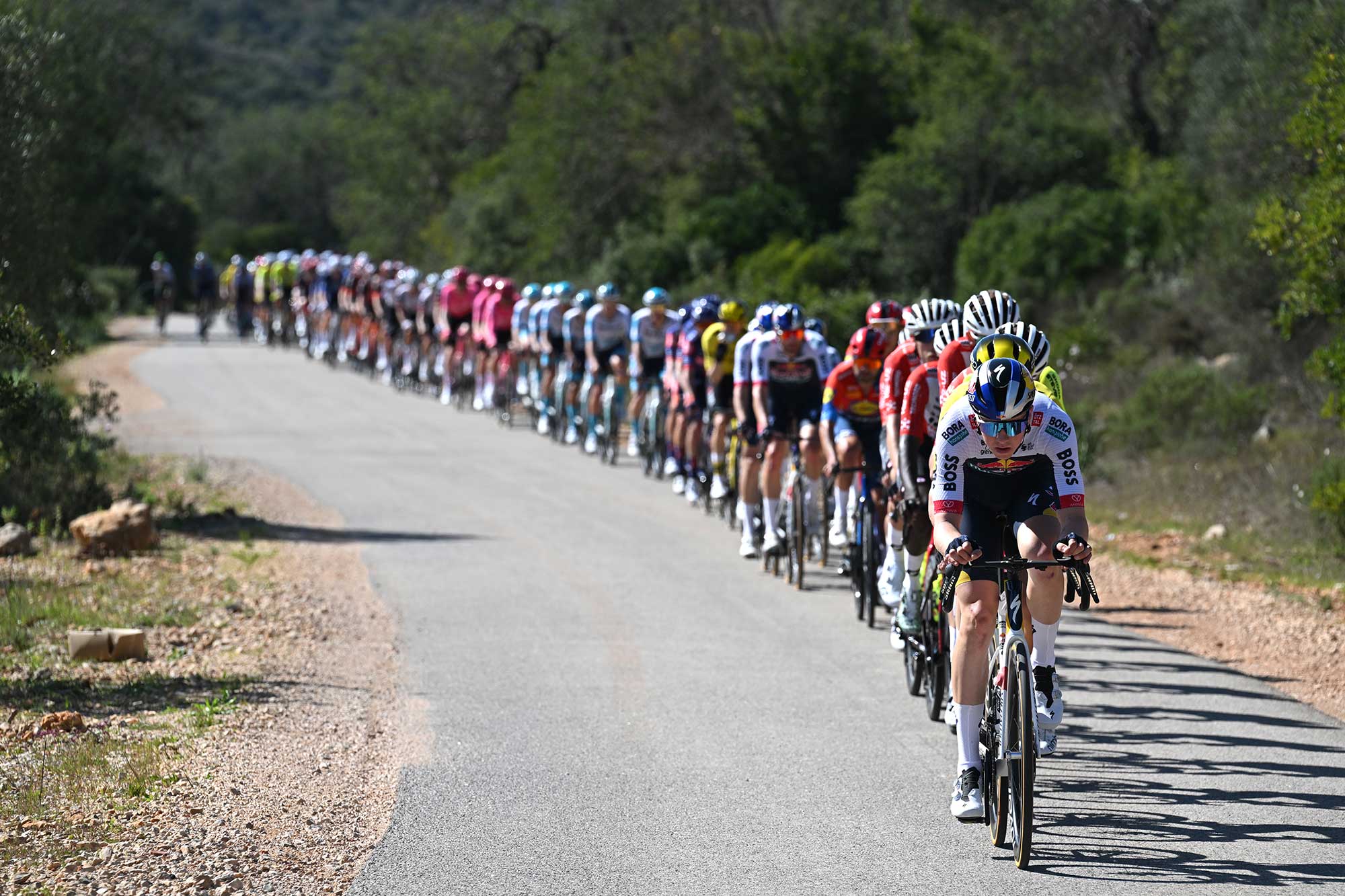 ALTO DA FOIA, PORTUGAL - FEBRUARY 20: Callum Thornley of Great Britain and Team Red Bull - BORA - hansgrohe leads the peloton during the 51st Volta ao Algarve em Bicicleta, Stage 2 a 177.6km stage from Lagoa to Alto da Foia 869m on February 20, 2025 in Alto da Foia, Portugal. (Photo by Tim de Waele/Getty Images)