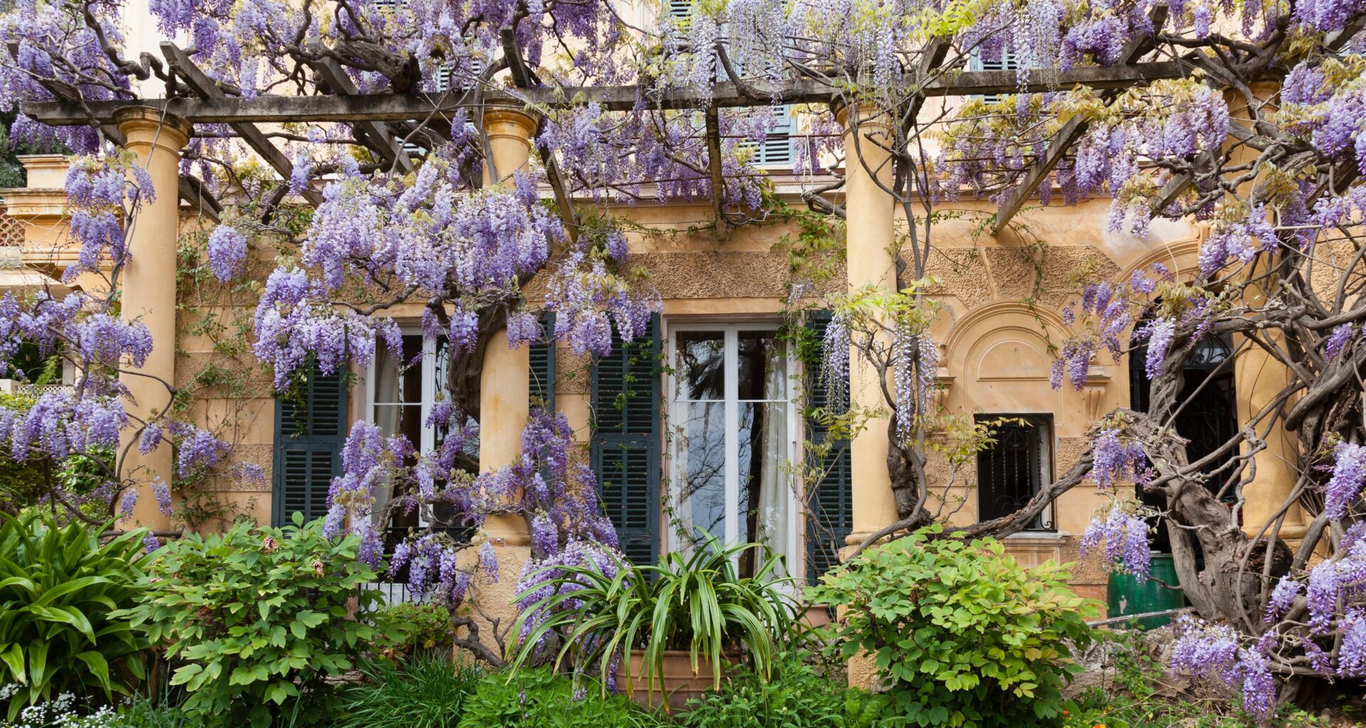 English country gardens once dotted the French Riviera. Now the last of them is about to slip away forever