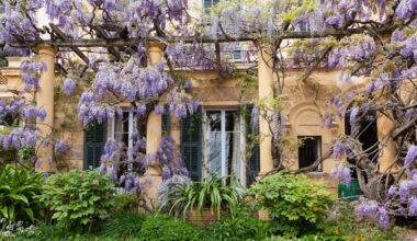 English country gardens once dotted the French Riviera. Now the last of them is about to slip away forever