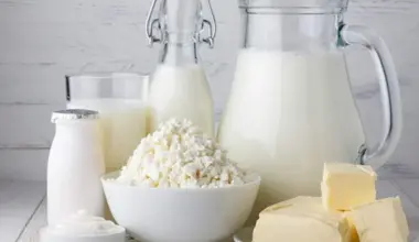 Are Full-Fat Dairy Products Beneficial for Brain Health?