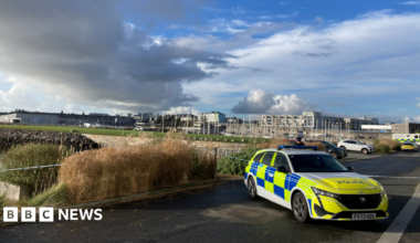 A police vehicle and cordon in place near a marine. Boat masts can be seen in the background as well as tall buildings. The sky is cloudy.