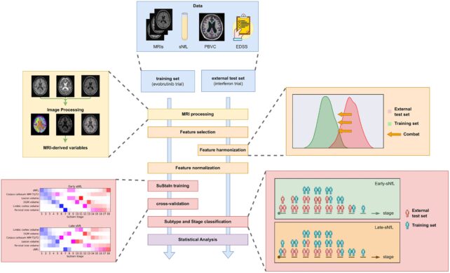 Two New Subtypes of Multiple Sclerosis Have Just Been Identified, Say Scientists