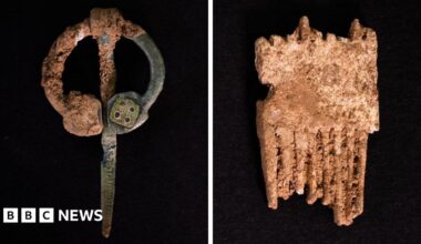 Several fragments of glass arranged in a straight line on a dark surface. They vary in size and shape, and some having a yellow tint and others a green and blue hue. One shard is finely etched with a pattern.