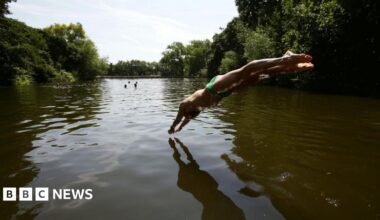A swimmer dives into the water at the mixed bathing ponds in Hampstead Heath