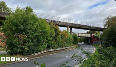 A railway bridge over a dual carriageway road. There are trees and grass on the verges.