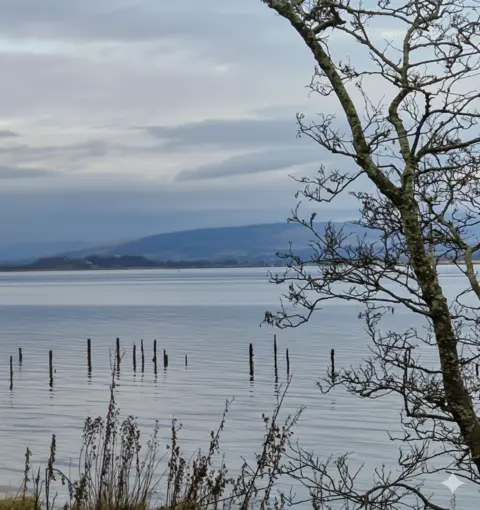 Vincent Logue and Ava The River Clyde with a selection of rotted wooden posts sticking out of the water with a leafless tree in the foreground and distant hills under a grey, overcast sky.