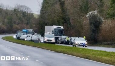 Queueing traffic coming towards the camera on a dual carriageway lined by trees. The near carriageway is empty.