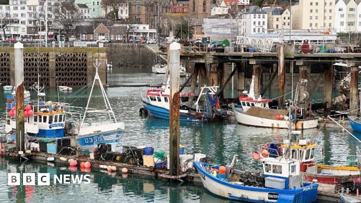 Fish Quay St Peter Port is filled with small fishing boats moored at pontoons in the harbour. Houses are close to the the harbourside.