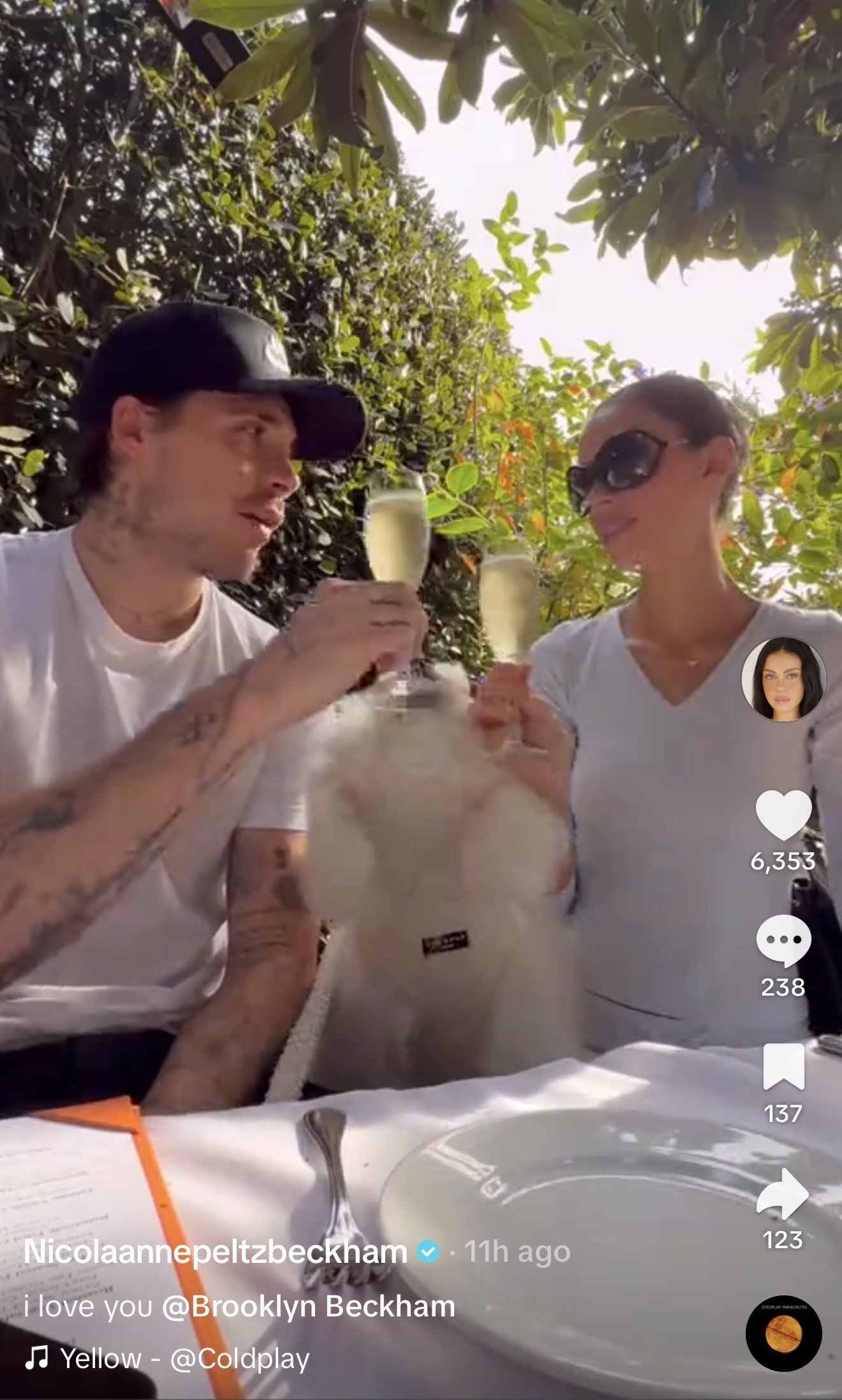 Brooklyn and Nicola Peltz-Beckham