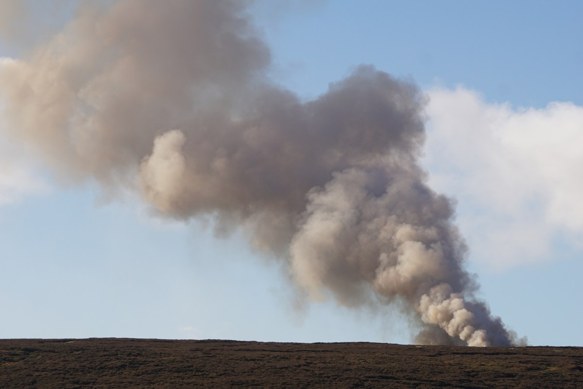RSPB asks for evidence of burning on peatlands across the UK – Raptor Persecution UK
