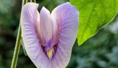 These vulval changes are worth checking – a GP explains the 7 possible cancer signs not to ignore