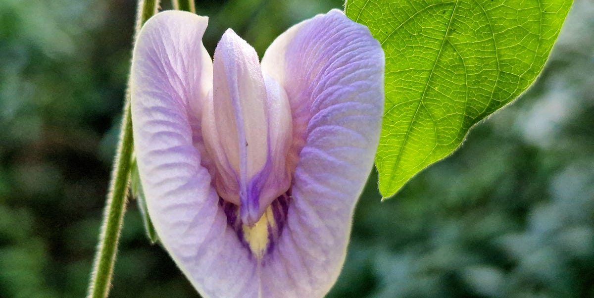 These vulval changes are worth checking – a GP explains the 7 possible cancer signs not to ignore