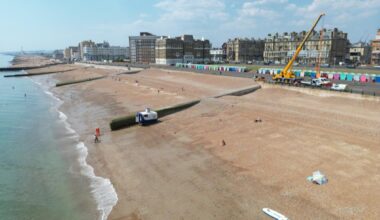 'Clown of the sea' washes up on beach in 'extremely rare' wildlife sighting