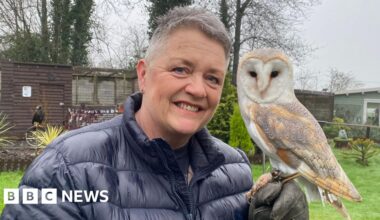 Dorset wildlife centre 'heartbroken' to end rescue service