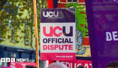 A purple, white and pink placard reading UCU official dispute, alongside a purple flag
