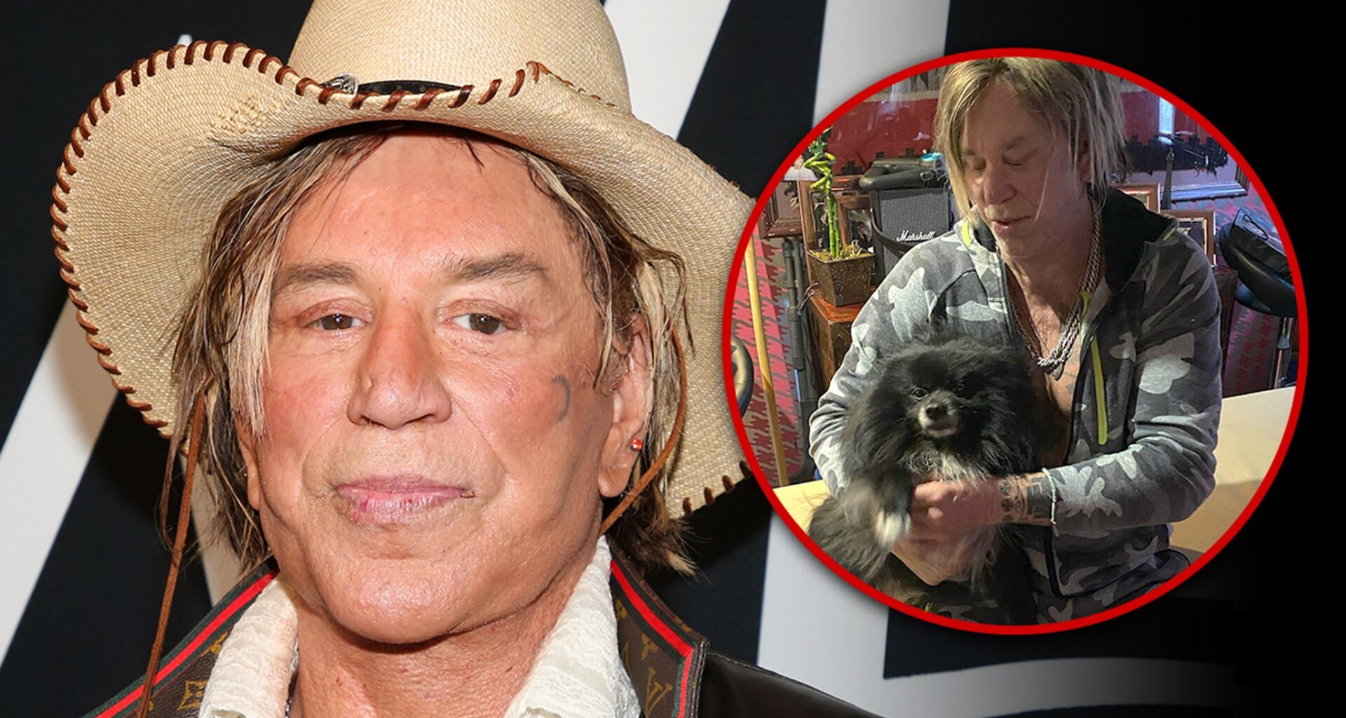 Mickey Rourke's Dog Needs Heart Surgery the Actor Can't Afford