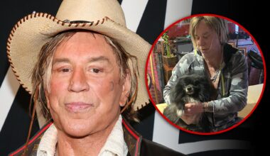 Mickey Rourke's Dog Needs Heart Surgery the Actor Can't Afford
