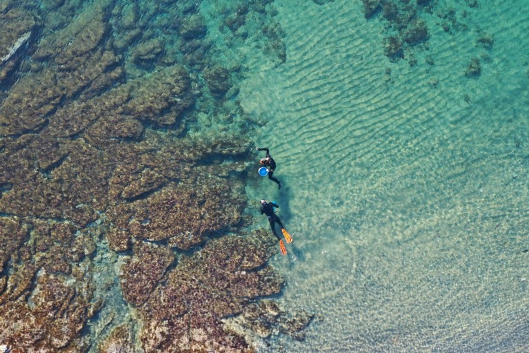 A top-down view of two snorkelers swimming around a reef.