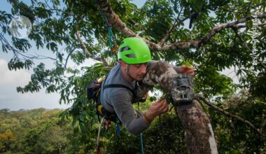 scientists ditch fieldwork in the age of AI