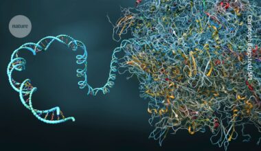 A ‘time capsule for cells’ stores the secret experiences of their past