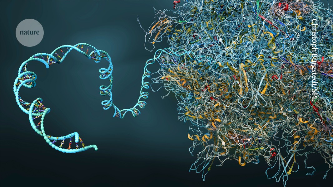 A ‘time capsule for cells’ stores the secret experiences of their past