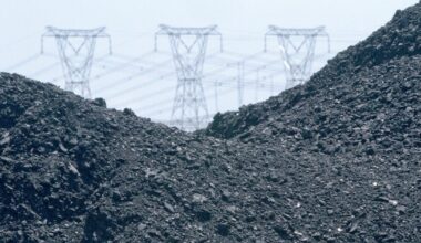 Germany to back Africa’s richest country with €720m to move away from coal