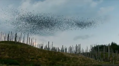 Sony Pictures Starlings fly over the set of The Bone Temple, which seems to be a structure made of what appear to be sticks of different heights on grassy land.